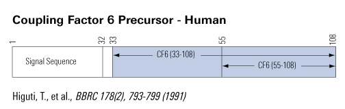 schematics CF6
