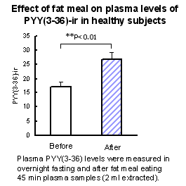 Effect of fat meal on plasma levels of PYY(3-36) in healthy subjects