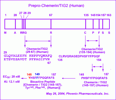 chemerin schemetics