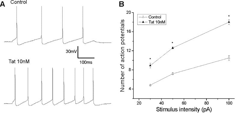 Neuronal excitability increase by Tat30-86.