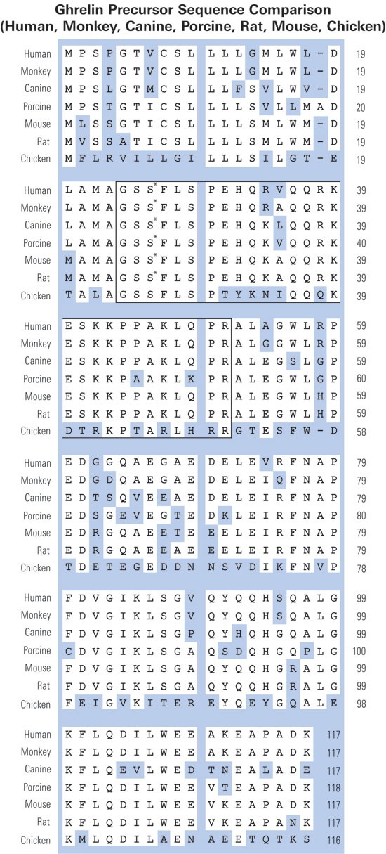 sequence comparison ghrelin