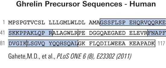 sequence ghrelin