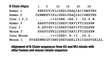 sequence comparison insl7 b chain