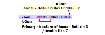 sequence structure insl7