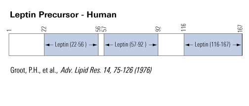 schematics leptin