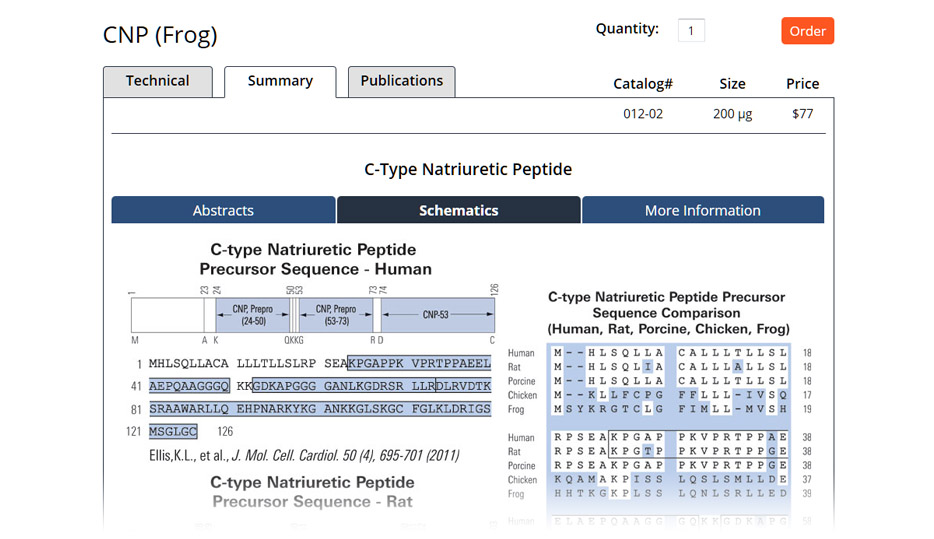 database database