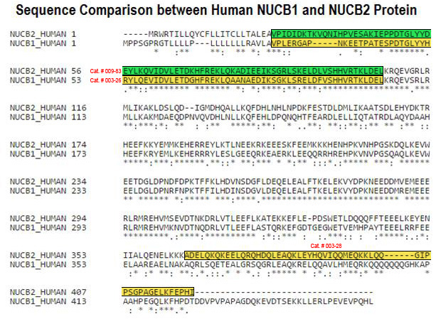 nucb1 and nucb2 sequence comp