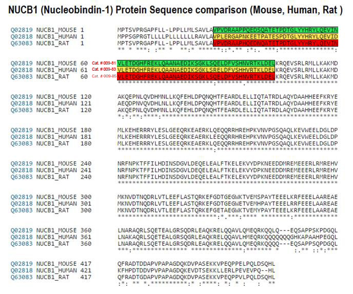 nucb1 sequence comp human rat mouse