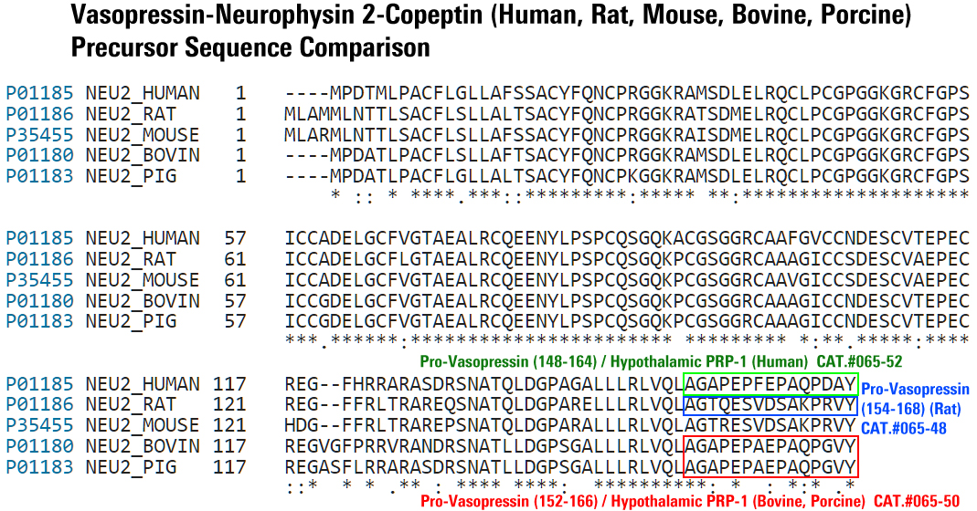 vasopressin neurophysin2 alignment