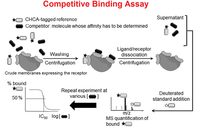 competitive binding experiment