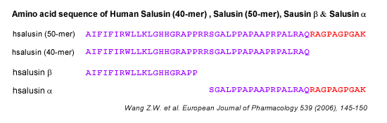 sequence salusin 40-mer and 50-mer