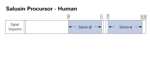 sequence salusin