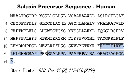 sequence salusin