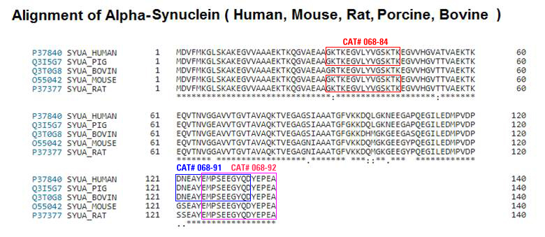synuclein alignment