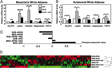 Effect of vaspin on leptin, resistin, TNF, GLUT4, and adiponectin in obese ICR mice fed with HFHS chow.