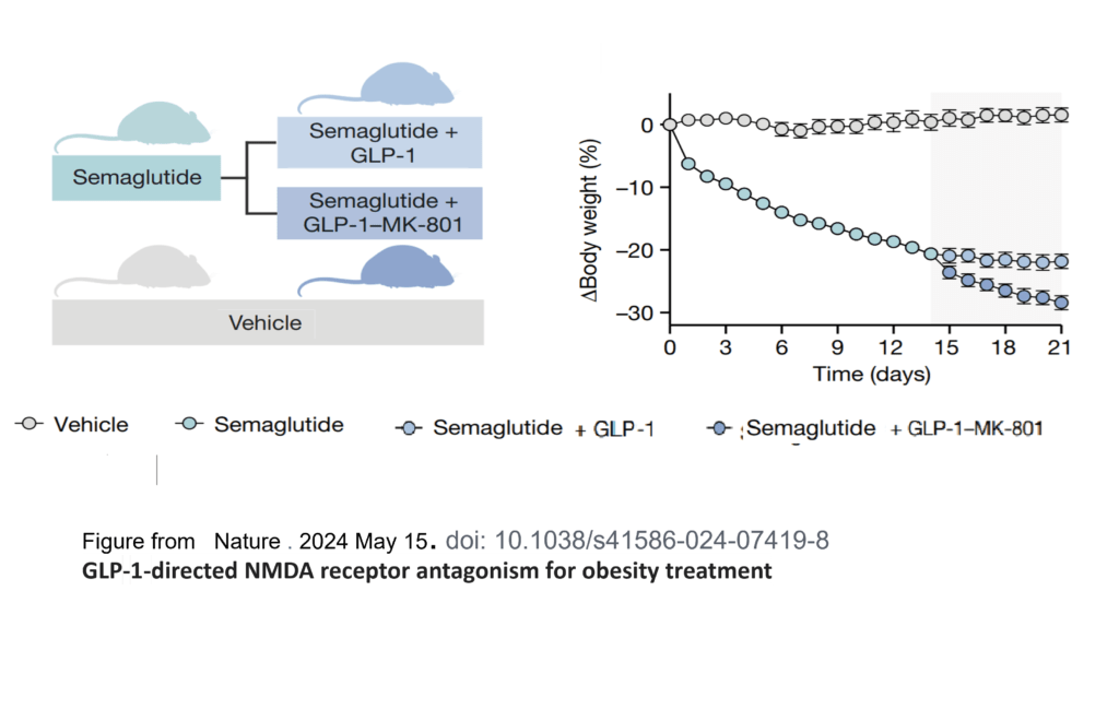 figure from Nature magazine GLP-1 NMDA receptor