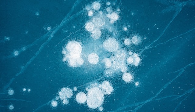 Why Polyclonal Antibodies Remain Essential Tools in ...